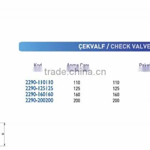PVC Pipe Fitting Check Valve thumbnail-2