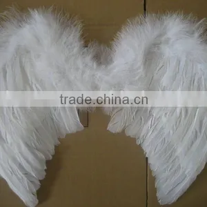 Beautiful Soft Angel Wing-1 thumbnail-1