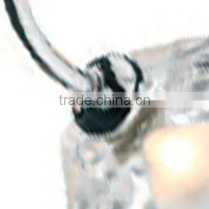 Modern Decoration Transparent Glass E14/E27 Ceiling Lamp thumbnail-3