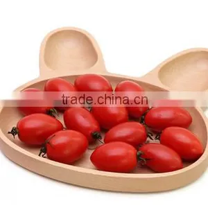 Kids Dinner Plate,beech Wood Food Tray,rabbit Shape Tray thumbnail-2
