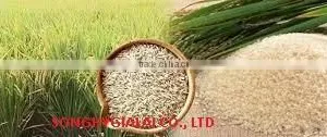 VIETNAM RICE thumbnail-5