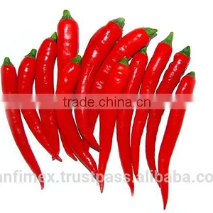 HACCP/HALAL/KOSHER/FDA RED DRY CHILLI thumbnail-5