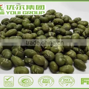 Organic Snacks, Salted Roasted Soybeans, Salted Edamames thumbnail-1