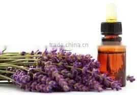 LAVENDER OIL / LAVENDER ESSENTIAL OIL thumbnail-2