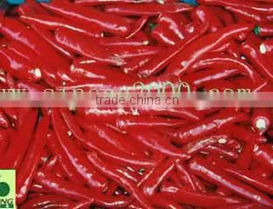 Chilli thumbnail-1