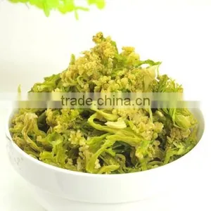New 2015 Dried Broccoli Best Selling Products in Philippines thumbnail-6