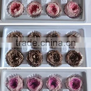 Wedding Favors Preserved Austin Rose Flower Wholesale Approximately 4.5cm Diameter thumbnail-3