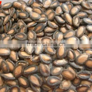 Black Watermelon Hybrid Seeds thumbnail-1