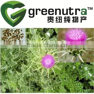 Silymarine Extract thumbnail-1