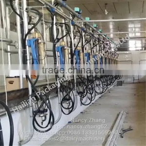 65lb Milk Flow Meter Herringbone Cow Milking Parlour System thumbnail-4