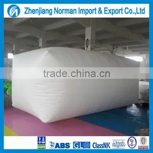 Pillow Fuel Tanks & Bladders thumbnail-1