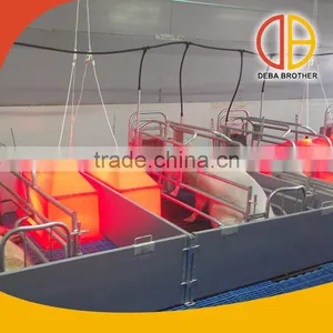 2017 Good Quality Stocked Crates Farrowing Crates for Pigs thumbnail-4