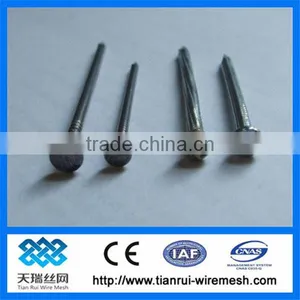 Nail/wire Nail/roofing Nails thumbnail-1
