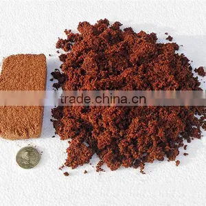 Hot Selling 1200 kg Coco Peat Dryer Equipment/Coco Peat Rotary Dryer for India and Pakistan Customer thumbnail-3