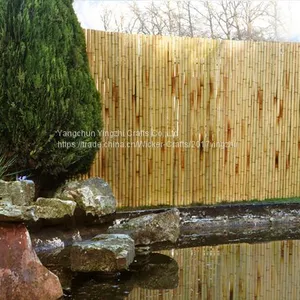 Bamboo Cane,Bamboo Pole,Bamboo Garden Fencing thumbnail-3