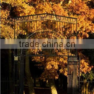Bisini European Elegant Luxury Grill Wrought Iron Gate (BG90231) thumbnail-1