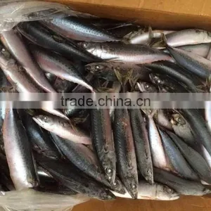 Frozen Fish Scomber thumbnail-1