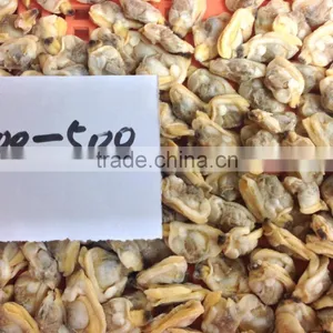 Frozen Short Neck Clam Meat thumbnail-3