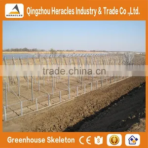 Heracles Trade Assurance Factory Price Sunlight Greenhouse thumbnail-2