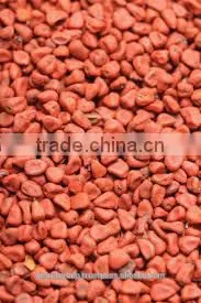 Annatto Colors thumbnail-1