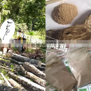Incense Powder, Product of Nature - Natural Agarwood Chips or Super Gaharu thumbnail-1