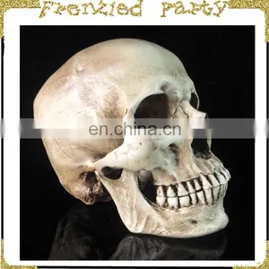 New Arrival Simulation Skull Wholesale Halloween Skull FGHS-0004 thumbnail-2