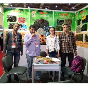 High Quality Turkish Sunflower Seed From Inner Mongolia thumbnail-2