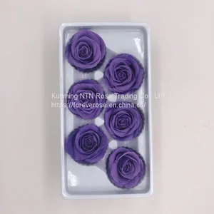 Preserved Fresh Roses Flower for Home Decoration thumbnail-5