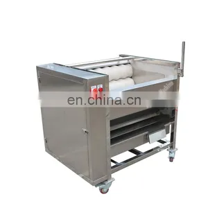 Automatic Small Yam Potato Onion Brush Roller Cleaning Machine Ginger Beet Washer With Low Price thumbnail-5
