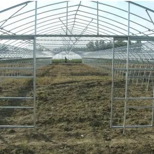 Economical Single Span Plastic Film Greenhouse With 8m Span thumbnail-3