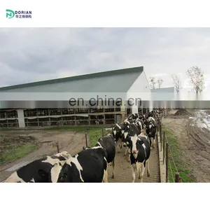 Small Automatic Farm Poultry House Sheds Chicken Farm for Eggs thumbnail-4