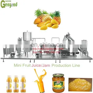 Chinese Factory Ginger Juice Production Line At Good Price thumbnail-4