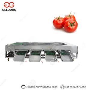 High Efficiency Small Capacity Blueberry Lychees Tomatoes Blueberries Date Palm Sorter Sorting Grading Machine thumbnail-2
