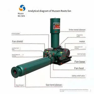 Roots Blower With Branded Pure Copper Motor, Made of Cast Steel, for Sewage Treatment Aeration and Aquaculture Oxygenation thumbnail-4