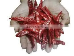 Chillies thumbnail-1