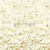 RICE thumbnail-1