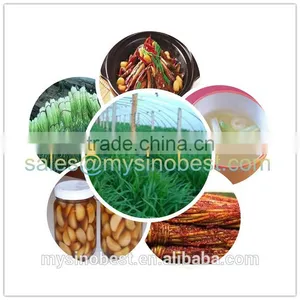 Supply and Export 2016 New Crop Fresh Garlic,natural Garlic,peeled Garlic thumbnail-1