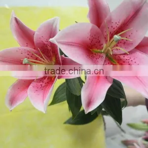Fragrant Aroma Classical Flowers Liliess for Wedding Decoration thumbnail-1