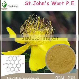 St. John's Wort P.E With Uv 0.3% St of Health Food for Best Selling thumbnail-1