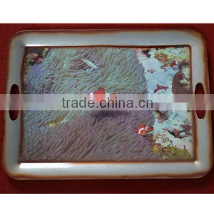 Cartoon Plastic Food Serving Trays thumbnail-1
