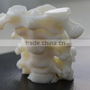 High Quality 3d Printing Services for Hospital thumbnail-5