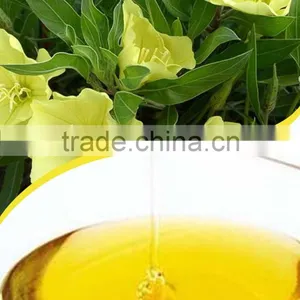 Evening Primrose Oil thumbnail-1