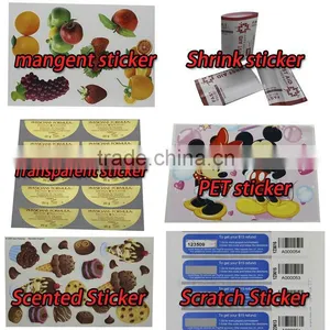 China Factory Plastic Sheet Stickers, Transparent Plastic Sticker Sheet thumbnail-6