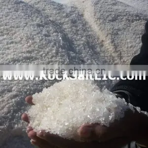Ice Melt Salt 98-99% NACL for Snow Applications (EGYPT Origin - Sgs Certificate - White Color) thumbnail-6
