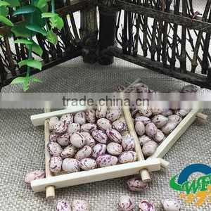 Light Speckled Kidney Beans (XinJiang Round) thumbnail-1