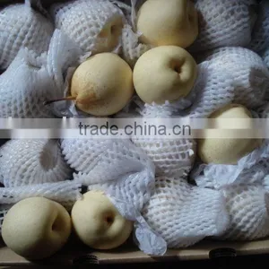 Fresh Chinese Pear thumbnail-1