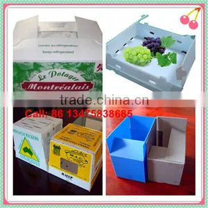 PP Plastic Corrugated Boxes thumbnail-1