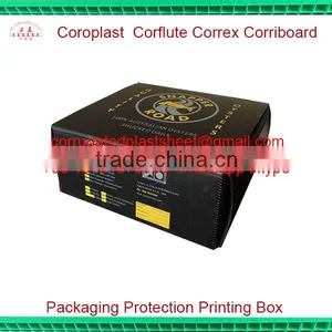 pp Plastic Corflute Oyster Box thumbnail-1