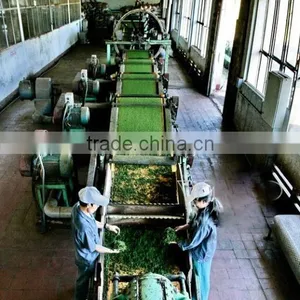 Type 1 Tea of Gimex Viet Nam thumbnail-1