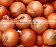 Fresh Red Onions Yellow Onions From Chinese Factory thumbnail-2